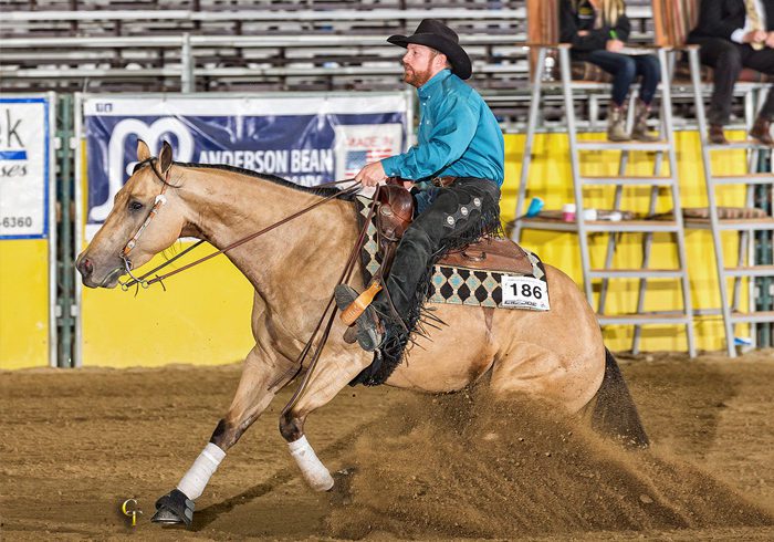 2015 Low Roller Reining Classic Results