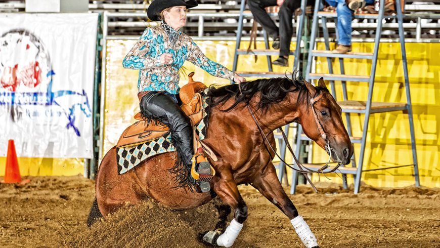 2016 Low Roller Reining Classic Show Results