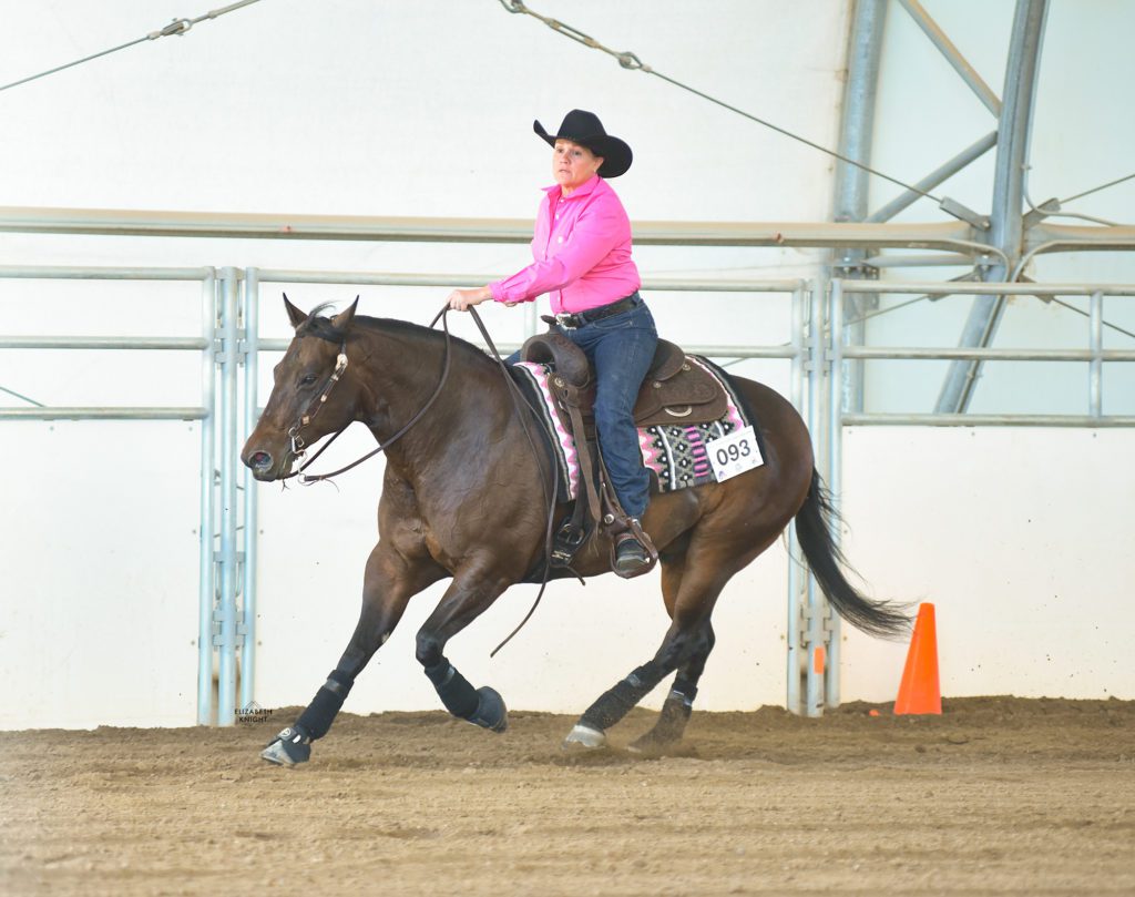 Quarter horse reining gelding showing at the Low Roller Reining Classic. 