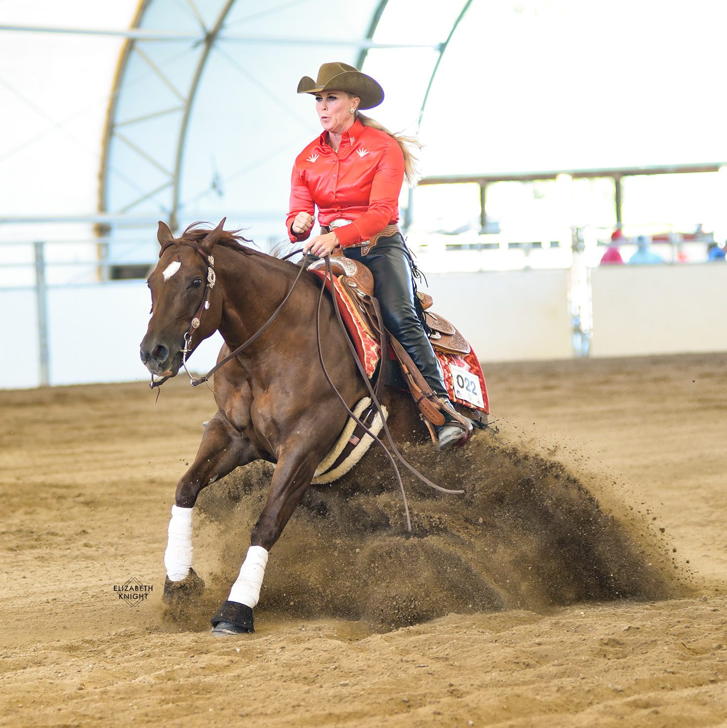 Quarter horse reining gelding competing at the Low Roller Reining Classic