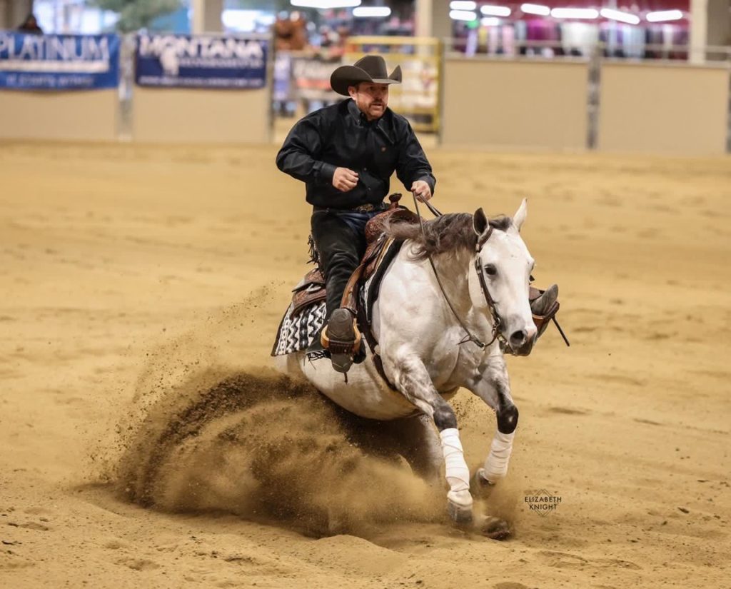 Quarter horse reining mare competing at the Low Roller Reining Classic.