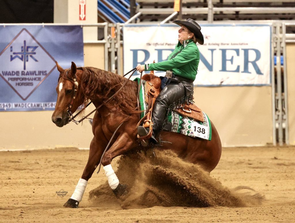 Quarter horse reining mare showing at the Low Roller Reining Classic in Nampa, ID