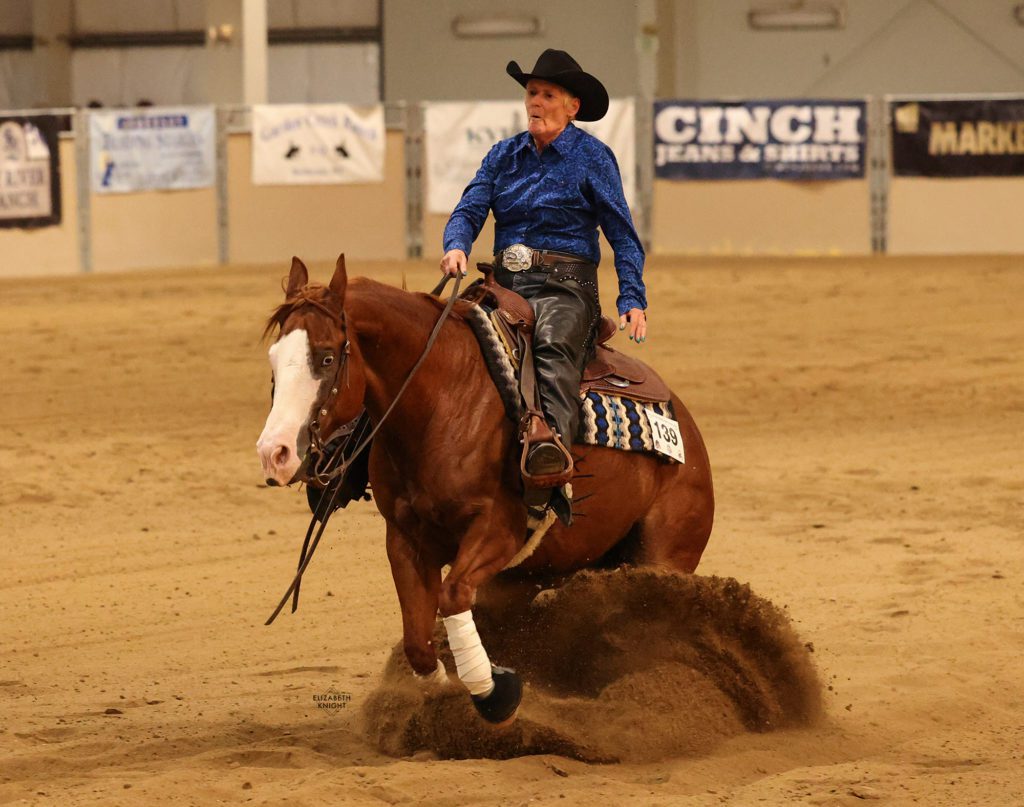 Quarter horse gelding showing at the Low Roller Reining Classic in Nampa, ID