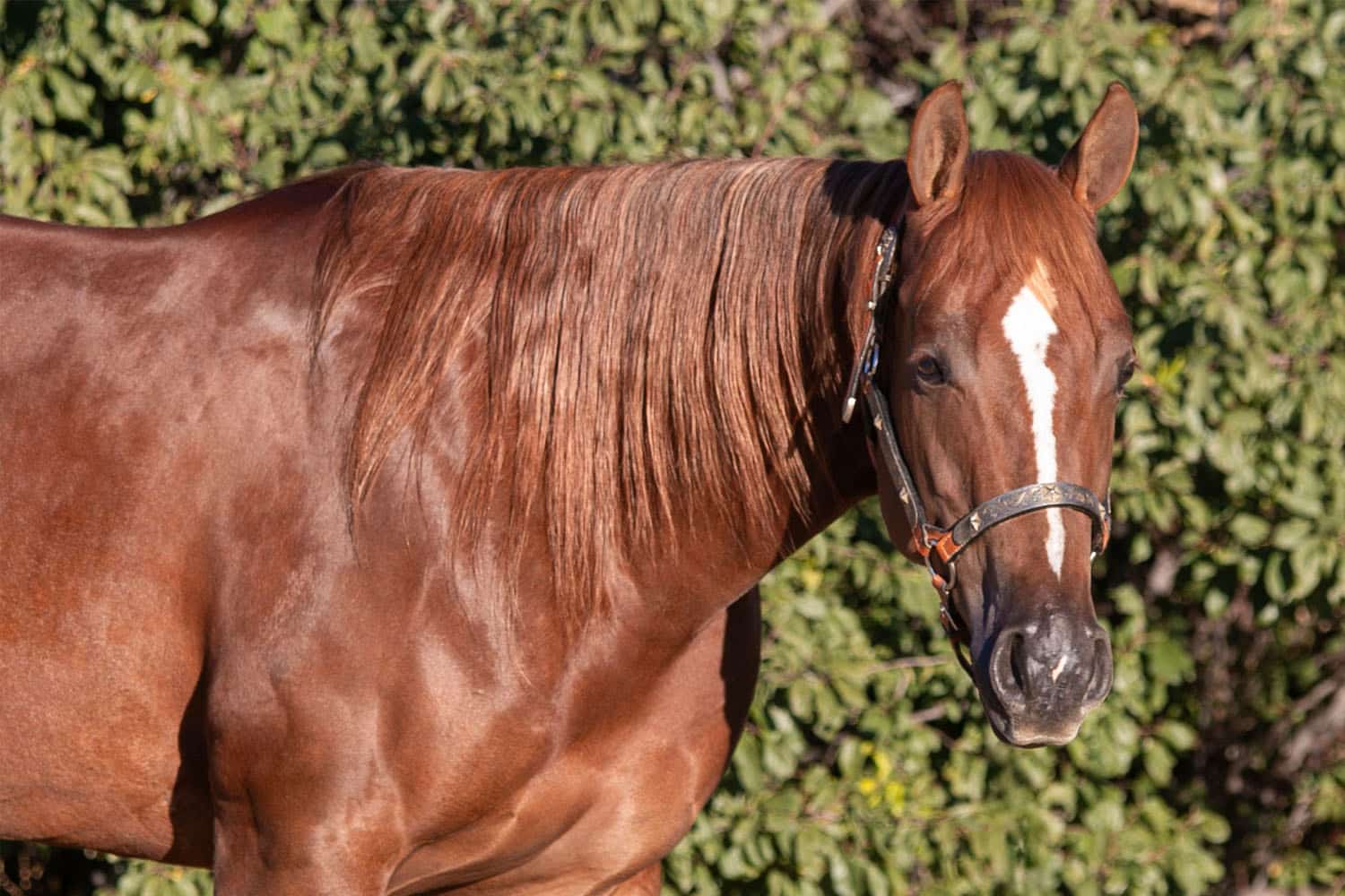 Mags_Web_3 Mags_Web_3